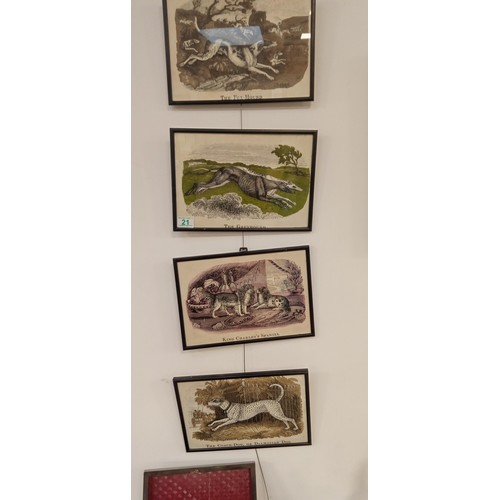 21 - 4 Framed vintage dog, coloured etchings