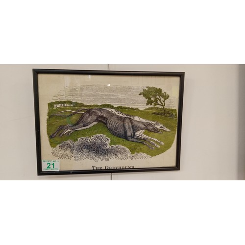 21 - 4 Framed vintage dog, coloured etchings