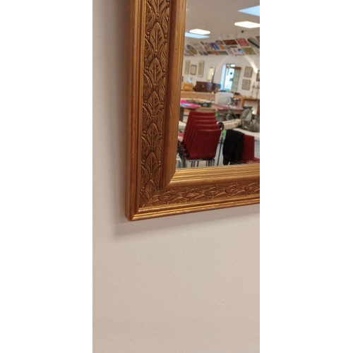 141 - Ornate bronze gilt framed mirror