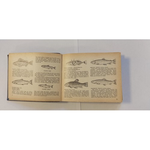 44 - Salmon Fishing in the Yemen by Paul Torday plus The Dumpy Pocket Book for Anglers 1960