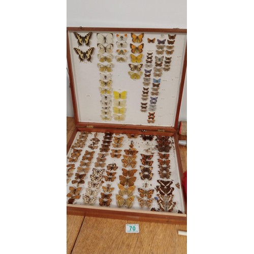 70 - Entomology large folding case with moths/ butterflies