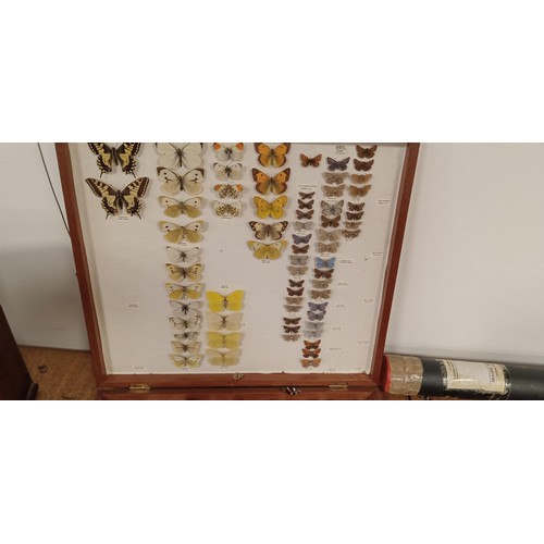 70 - Entomology large folding case with moths/ butterflies