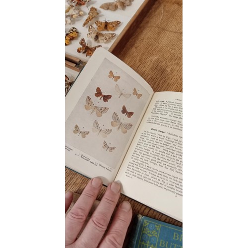 71 - Vintage books on Moths and butterflies