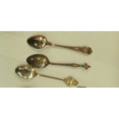 102 - 10 teaspoons some marked silver from different continents