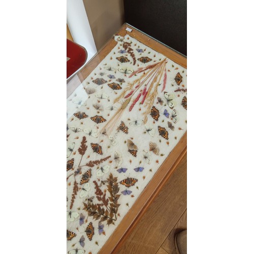 185 - Retro coffee table with butterflies