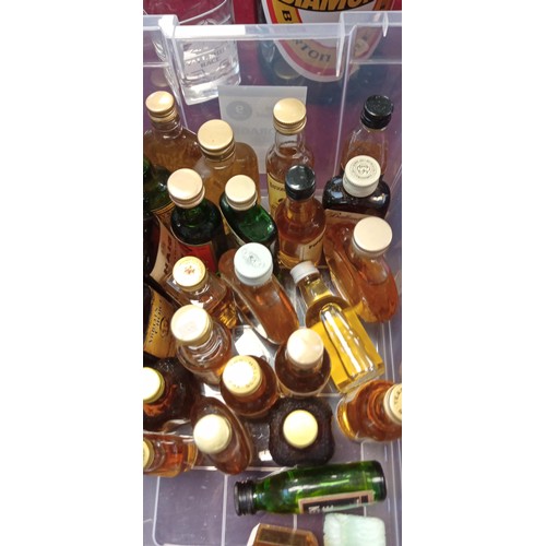 371 - Selection of scotch whisky miniatures, large double diamond bottle and a whisky glass