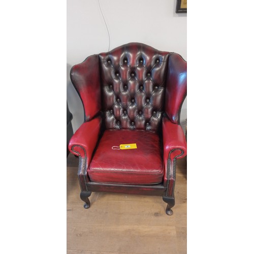 6 - Blood Ox Chesterfield wingback chair with cat claw marks