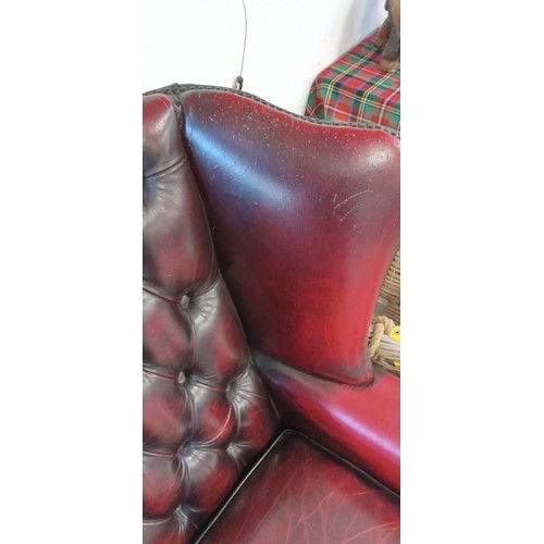 6 - Blood Ox Chesterfield wingback chair with cat claw marks