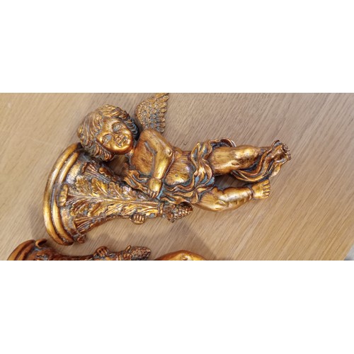 49 - Pair of Cherub wall sconce