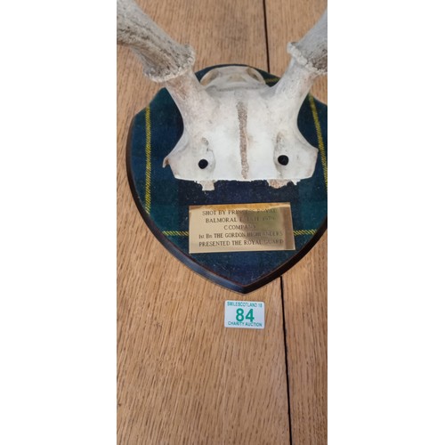 84 - Mounted Stag horns on shield engraved shot by Princess Royal Balmoral estate 1979 C Company 1st Bn T... 