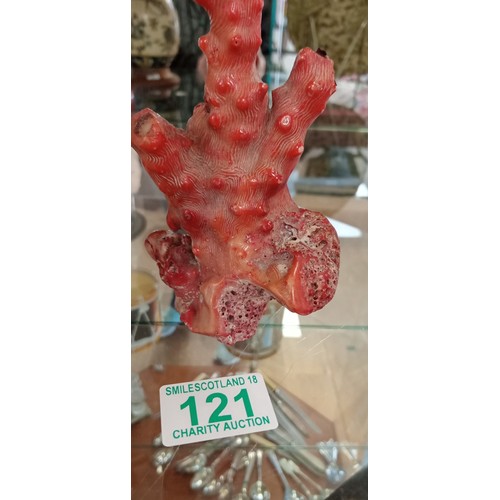 121 - Vintage red coral