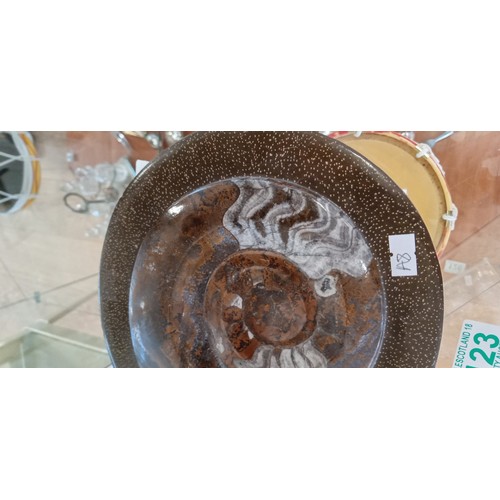 123 - Polished ammonite fossil