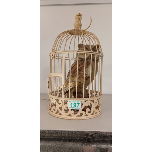 197 - Vintage bird cage with owl ornament inside