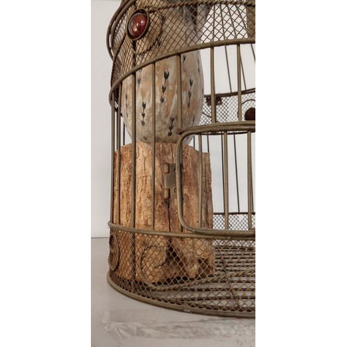 198 - Vintage bird cage with owl ornament inside