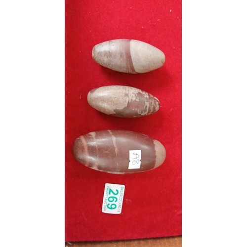 269 - Shiva Lingam fossil stones