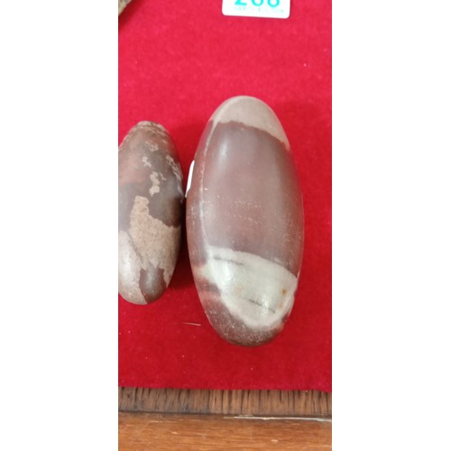 269 - Shiva Lingam fossil stones