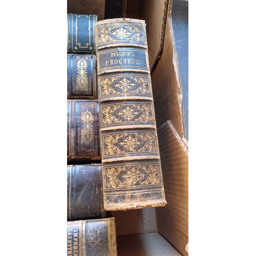 286 - 7 decorative spined books