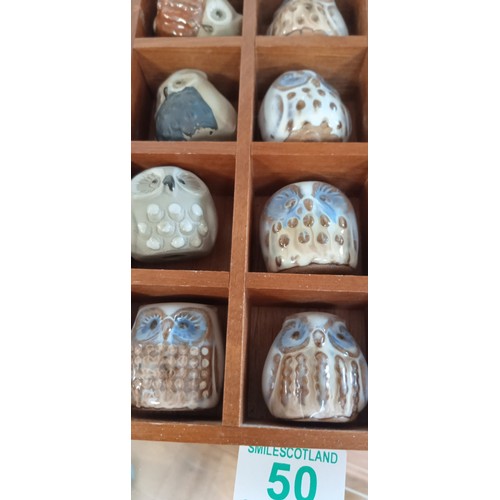 50 - 12 ceramic small owls in wooden holder