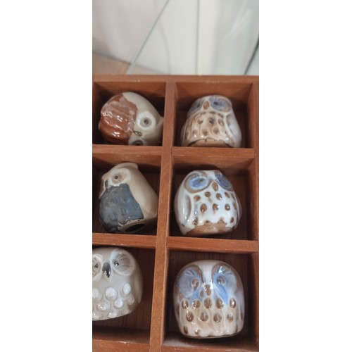 50 - 12 ceramic small owls in wooden holder