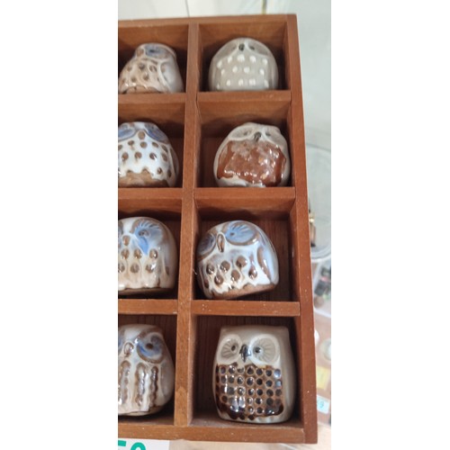 50 - 12 ceramic small owls in wooden holder