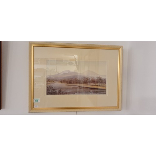 Lot 57        
