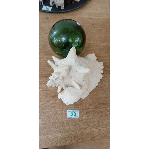 Lot 20        