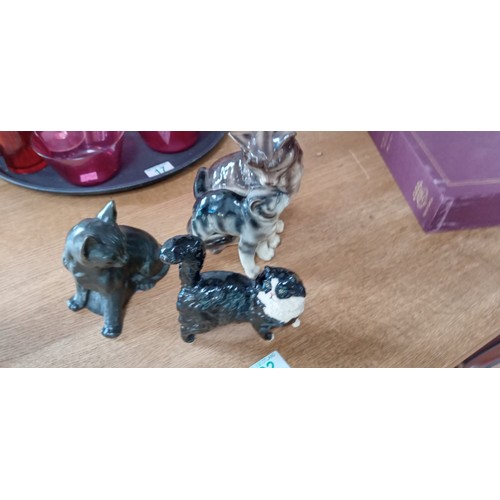 Lot 22        