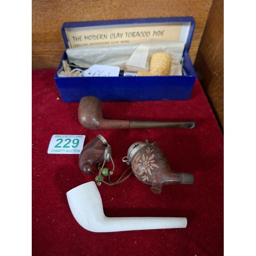 229 - Collectable pipes to include clay