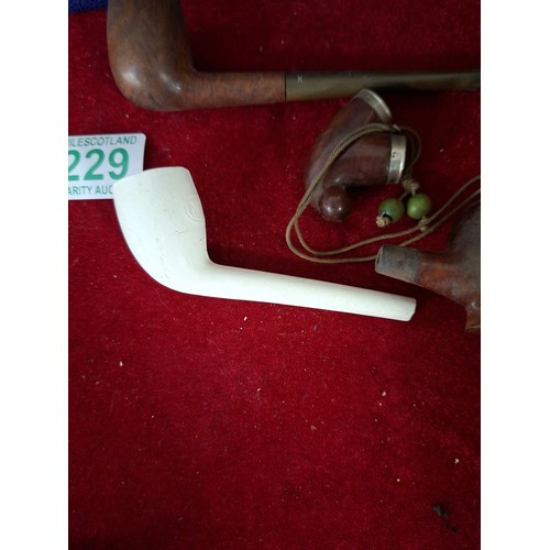 229 - Collectable pipes to include clay
