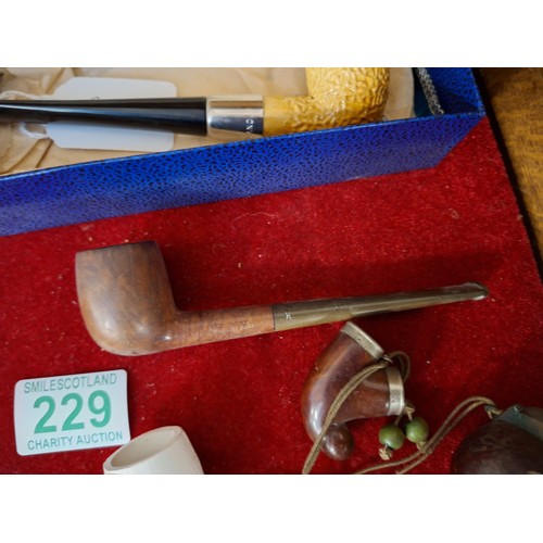 229 - Collectable pipes to include clay