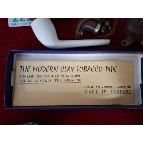 229 - Collectable pipes to include clay