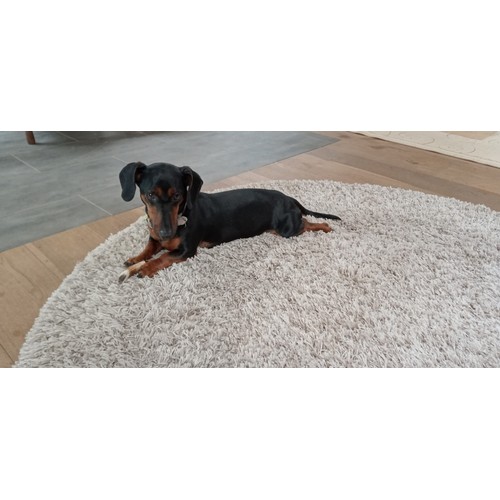 0 - On behalf of Smile Scotland (SCIO) the Trustees, Volunteers and Clients thank you all for your suppo... 