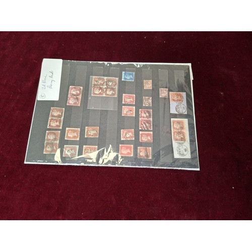 Lot 8         