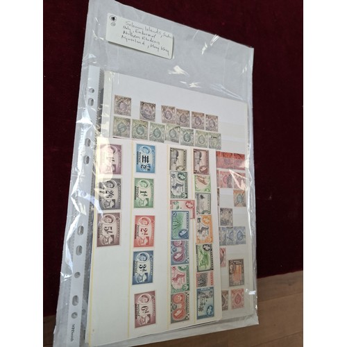 Lot 13        