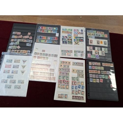 Lot 23        