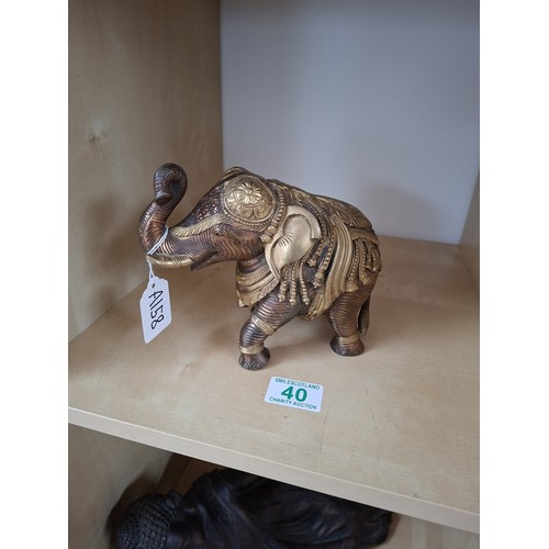 Lot 40        