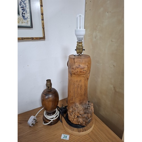 Lot 28        
