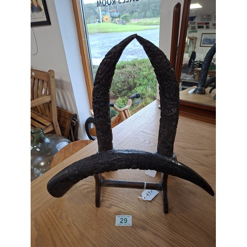 Lot 29        