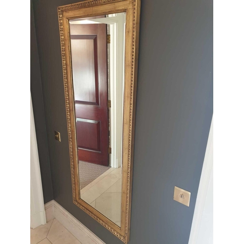 710 - A Full Height Dress Mirror 60 x 150cm (Room 310 & 311)