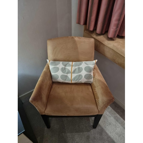 89 - Accent chair upholstered in a suede effect gold leather on matt black wooden frame 64 x 44 x 85cm (R... 