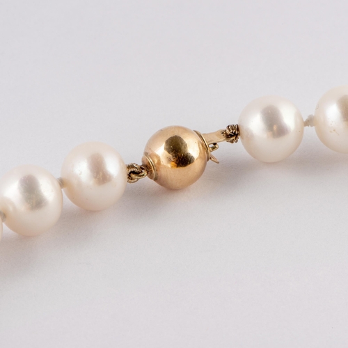 297 - Sizeable Saltwater Cultured Pearls Gold Necklace, Gold 375/9K 

  Metal: Gold 375/9K 
 

  Weight: 4... 