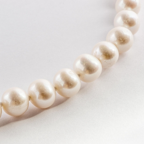 297 - Sizeable Saltwater Cultured Pearls Gold Necklace, Gold 375/9K 

  Metal: Gold 375/9K 
 

  Weight: 4... 