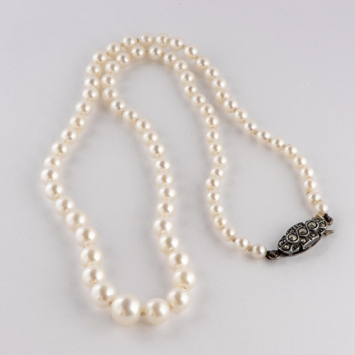 311 - Art Deco Saltwater Akoya Pearl Necklace with Marcasite adorned Silver Clasp 
 

  Metal: Silver 925 ... 