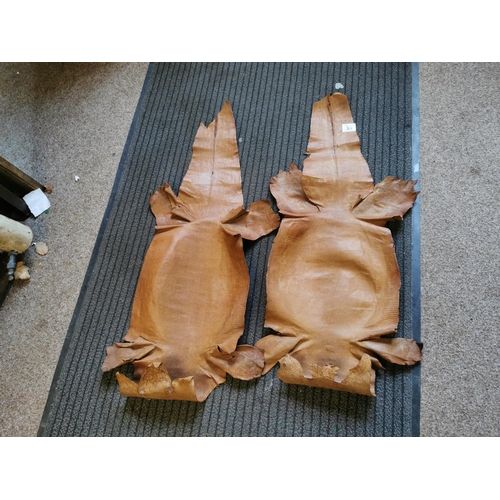 38 - Pair Of Vintage Crocodile Skins