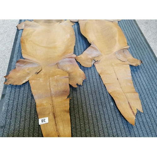 38 - Pair Of Vintage Crocodile Skins