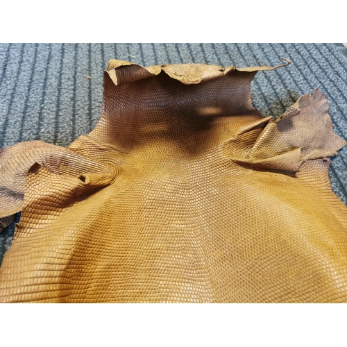 38 - Pair Of Vintage Crocodile Skins