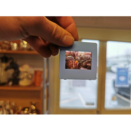 264 - Very Large Quantity Of Various Vintage Slides Approx 300 With A Photax Slide Viewer