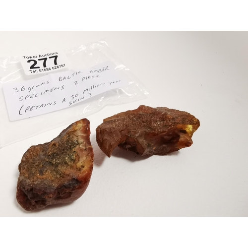 277 - 37 Grams Of Natural Baltic Amber 2 Specimens Retains A 30 Million Year Old Skin