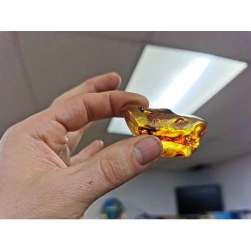 408 - 19.2g Of Genuine Golden Amber Specimen