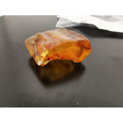 412 - 15g Genuine Golden Amber Specimen